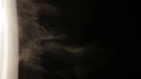 Dust Particles Flowing in Bright Light Black Background Stock Footage 99323806