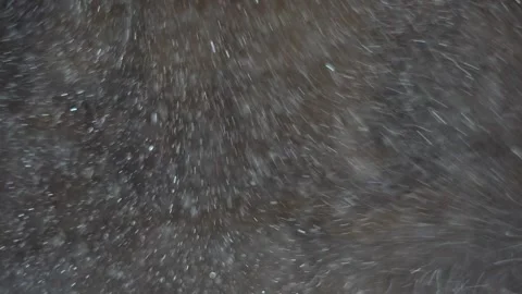Dust particles fly in the dark room, reflected by light Stock Footage 296414240