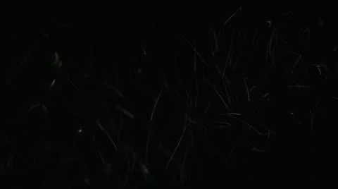 DUST PARTICLES Stock-Footage 17903809