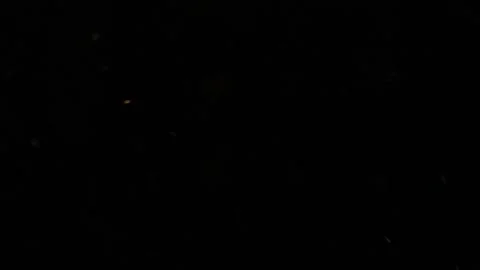 Dust Particles Stock Footage 89879648