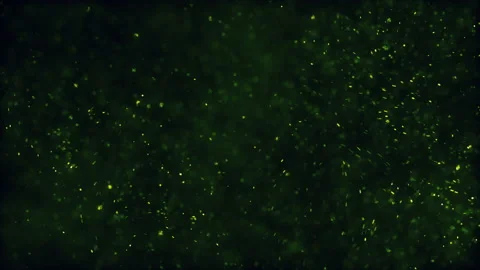 Dust Particles General 07 4K Stock Footage 139088868