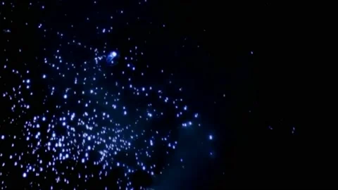 Dust particles motion graphics with night background Stock Footage 138074425