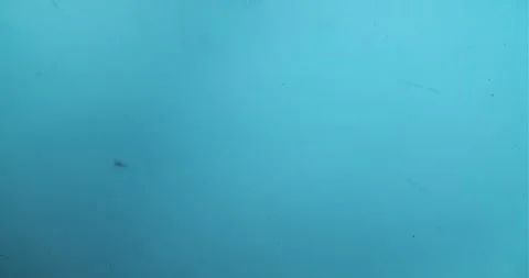 Dust Particles Moving Gently Underwater Stock Footage 274955823