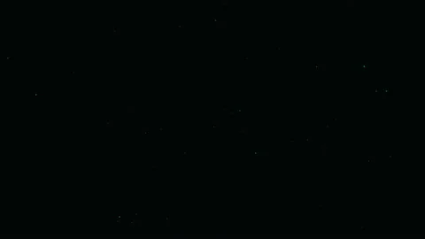 Dust Particles. Natural Floating Organic Particles On Black Background. High Stock Footage 106942117