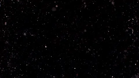 Dust particles sparkling on black background with white light bokeh effect Stock Footage 138099654