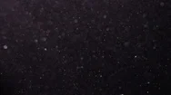 Dust Particles Suspended In The Air Black Of Night Lit With A Flashlight Stock Footage