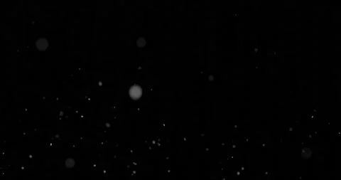 Dust particles for video overlay Video stock 178510650