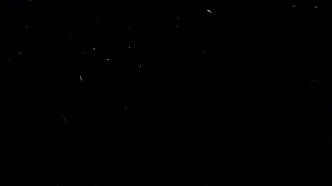 Dust From Pillow Video stock 231543311