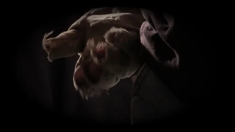 Dust from pocket Video stock 83794310