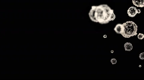 Dust, pollen, at strong magnification Stock Footage 58956506