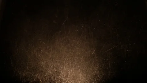 Dust  powder  splinter background Stock Footage 115336977