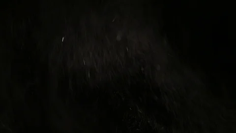 Dust  powder  splinter background Stock Footage 115337498