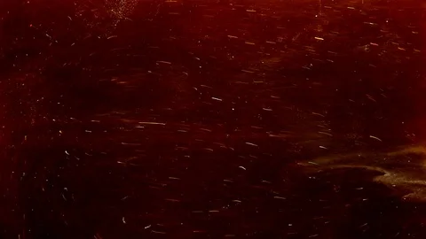 Dust  powder  splinter background Stock Footage 115337514