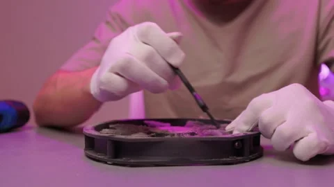 Dust removal from electronic components. Delicate maintenance of computer fan Stock Footage 347877299