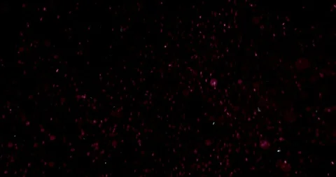 Dust Snow Particles From Top Stock Footage 107740421