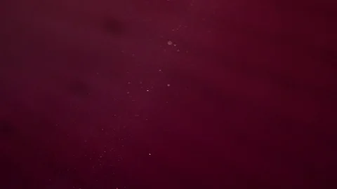 Dust in the spotlight Stock Footage 97206284