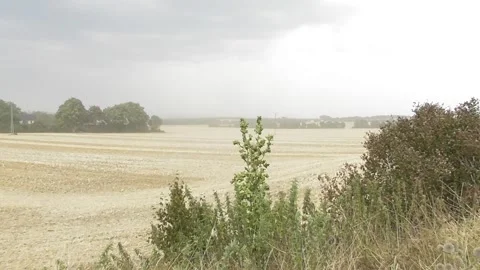 Dust storm above the grain fields Stock Footage 340900216