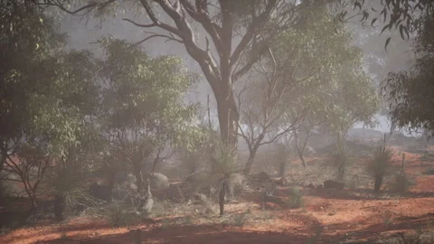 Dust Storm Enveloping Australian Outback Landscape Stock Footage 306304566