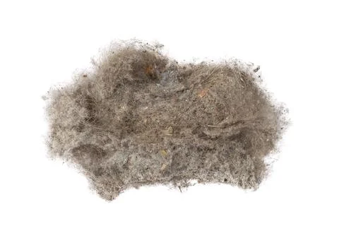 Dust texture on a white background. Isolated. House cleaning. Clipping path. Stock Photos