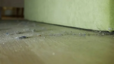 Dust under the bed Stock Footage 146966184