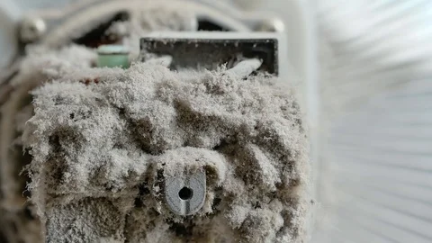 Dust-v1 Stock Footage 114077232