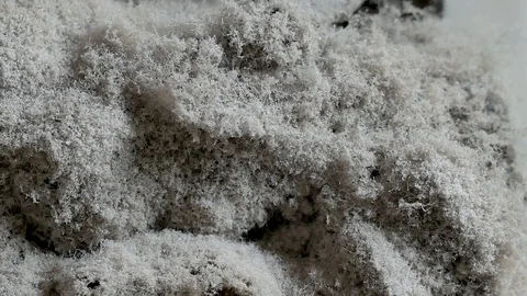 Dust-v4-normal Stock Footage 114077244