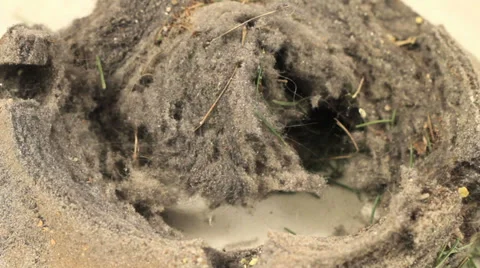 Dust from vacuum cleaner Video stock 33743230