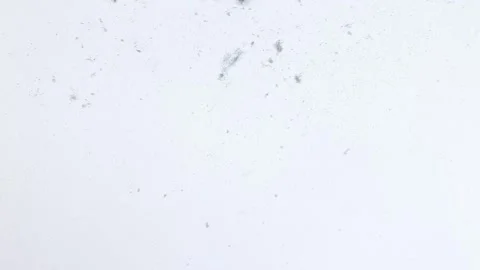 Dust on a white background. Particles of dust, dirt, debris. Household dust. Stock Footage 280440980