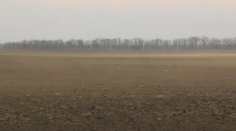 Dust wind on the field Stock-Footage 20479183