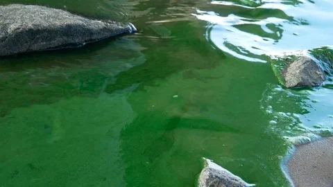 Dusted water surface of the river Stock Footage 78729465