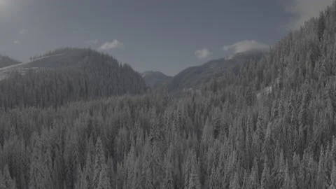 Dusted White Stock Footage 139898661