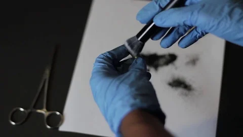 Dusting a shell for prints Stock Footage 79339584
