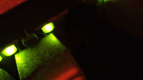 Dusty active ethernet connector in switch with blinking green lights 스톡 동영상 111720856