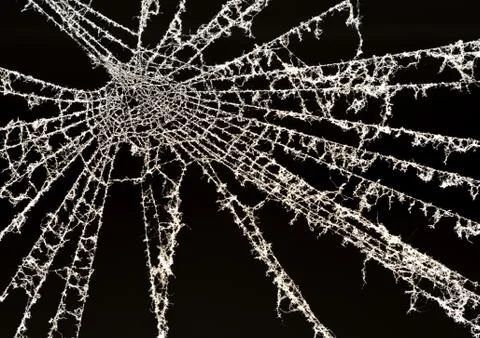 Dusty backlit cobweb on a black background Stock Photos