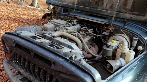 Dusty engine under the open hood of an old car in the forest Video stock 170021408