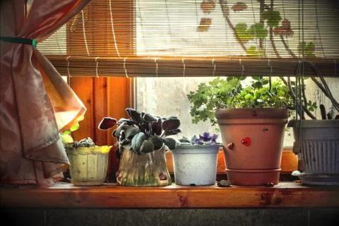 Dusty flower pots Foto stock