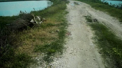 A dusty, gray dirt path with patches of dry grass and loose stones on the sid Stock Footage 332974979