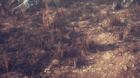 Dusty ground with rocks and dry grass in a natural setting during daytime Stock Footage 340216844