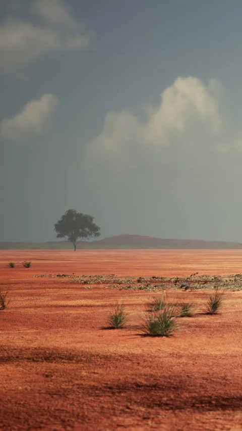 Dusty landscape with a single tree under cloudy sky during day Stock Footage 337933200