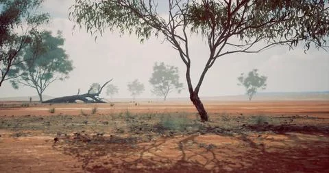 Dusty landscape with sparse trees under a hazy sky in the outback Stock Illustration