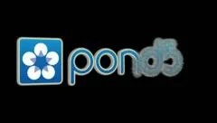 Dusty Logo Stock After Effects