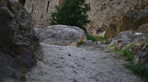 Dusty Old Path with a small White Bird Stock Footage 53232559