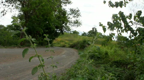Dusty old road Stock Footage 725528