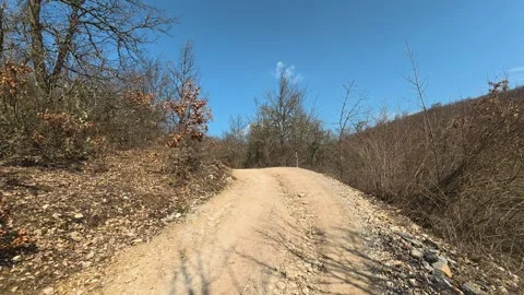 Dusty path winds through autumnal forest. Mount Rtanj Area, Serbia Stock Footage 331279640