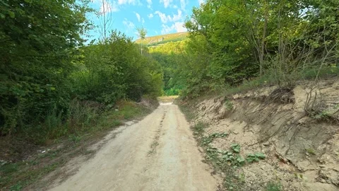 Dusty path winds through dense green forest. Bigar Waterfall area, Serbia 動画素材 346249998