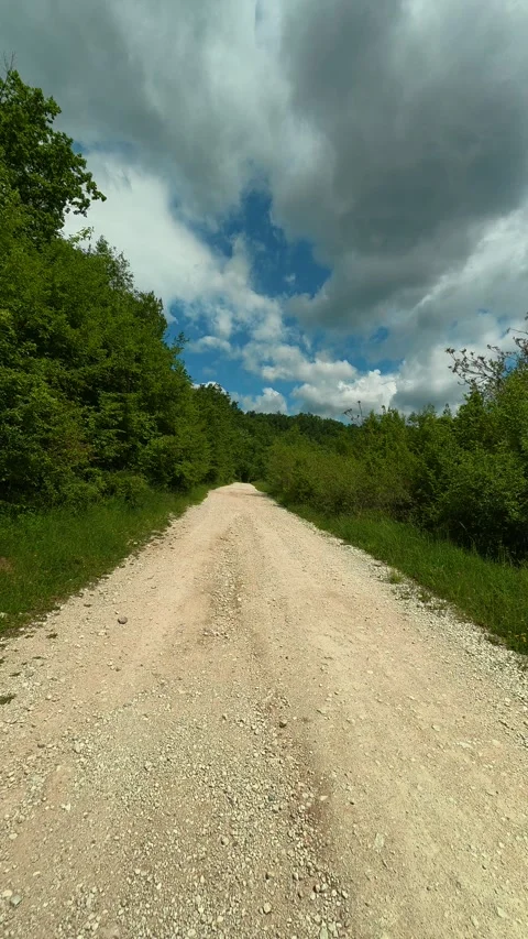 Dusty path winds through lush green trees. Vrmdza Lake, Serbia. Vertical Video stock 338029280