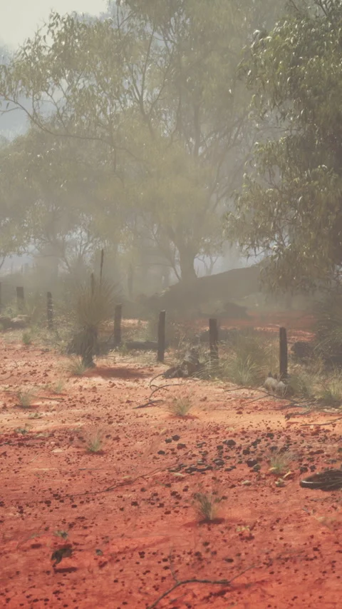 Dusty pathway in an outback landscape during the day with trees Video stock 342188296