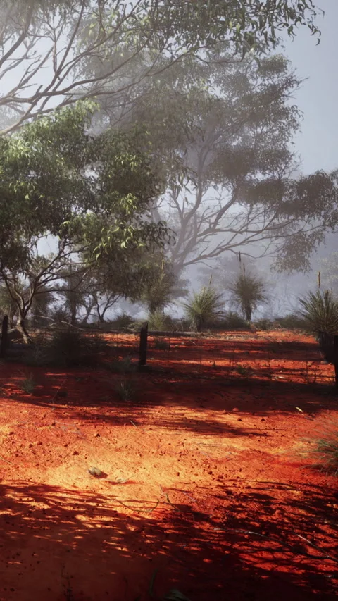 Dusty pathway through trees in an Australian bush during morning light Stock Footage 340641542