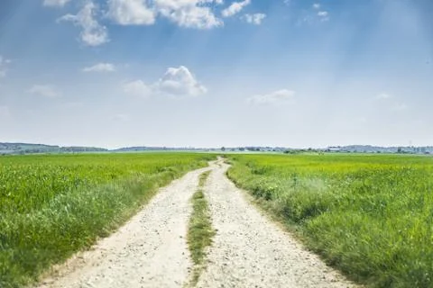Dusty road on the fields Stock Photos