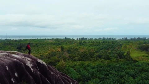 Dusty road going through green colored bushes leading to a big black rock Stock-Footage 291637201